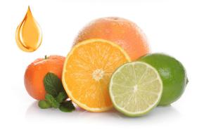 Citrus-Früchte in verschiedenen Verarbeitungsformen